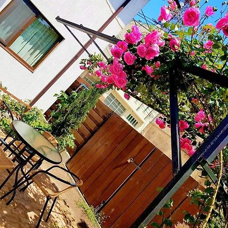 Pensiunea Casa Blanca ซูลีนา ภายนอก รูปภาพ
